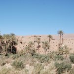 Photo taken by Margi S