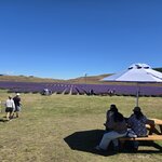 Photo taken by Ruth R