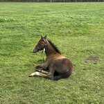 Photo taken by John K