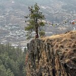 Photo taken by Jason M