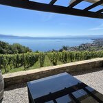 Photo taken by Tommy B