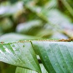 Photo taken by Jeffrey B