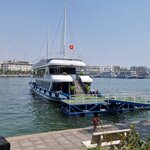 Photo taken by Stephen B