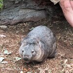 Photo taken by Kaitlin J