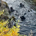 Photo taken by Mark Z