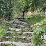 Photo taken by Nancy B