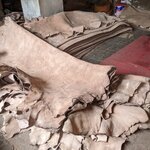 Photo taken by Cynthia D