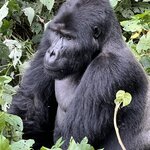 Photo taken by Michael L