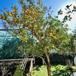 Photo taken by Andrea Z