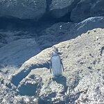 Photo taken by Jason C