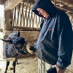 Photo taken by Maisa A