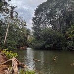 Photo taken by Tiphanny C