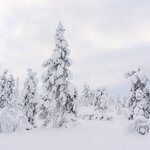 Photo taken by Raylene C