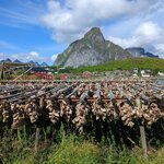 Photo taken by Dani L