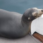 Photo taken by Richard P