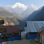 Lhandruk | Photo taken by Clare I