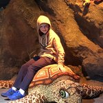 Sealife Center | Photo taken by Linda O