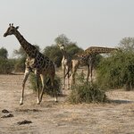 Photo taken by Paul B