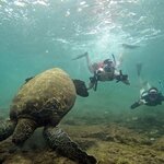 Photo taken by Debbie W