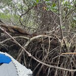 Photo taken by Gary W