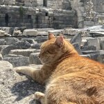 Photo taken by Donna G