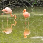 Photo taken by Barb M