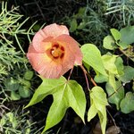 Photo taken by Gary W