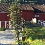 Photo taken by Sharon S