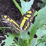 Photo taken by Sheila G