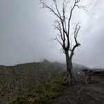 Photo taken by Peter B