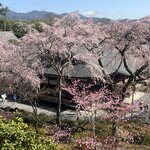 Photo taken by Kirti P