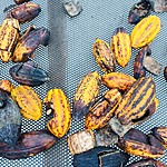 Photo taken by Marcia G