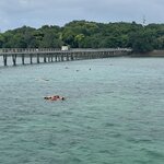 Photo taken by William S