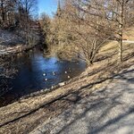 Photo taken by Karen S