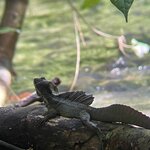 Photo taken by Erna P