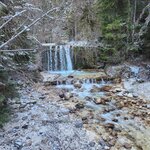 Photo taken by Jocelyn C