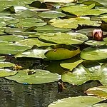 Photo taken by Mike T