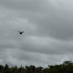 Photo taken by Meenakshi B