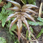 Photo taken by Ben B