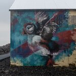 Photo taken by Erica B