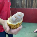 Photo taken by Alexia M