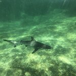 Photo taken by Nicole S