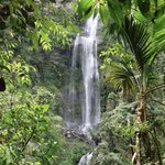 Photo taken by Miranda M