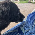 Photo taken by Gerald L