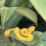 Photo taken by Jacqueline R