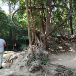 Photo taken by Janice D