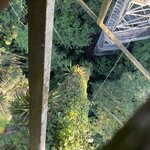 Photo taken by Nicole S