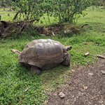 Photo taken by Elise C