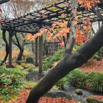 Photo taken by Zulhelmi R