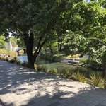 Avon River | Photo taken by Marilyn L